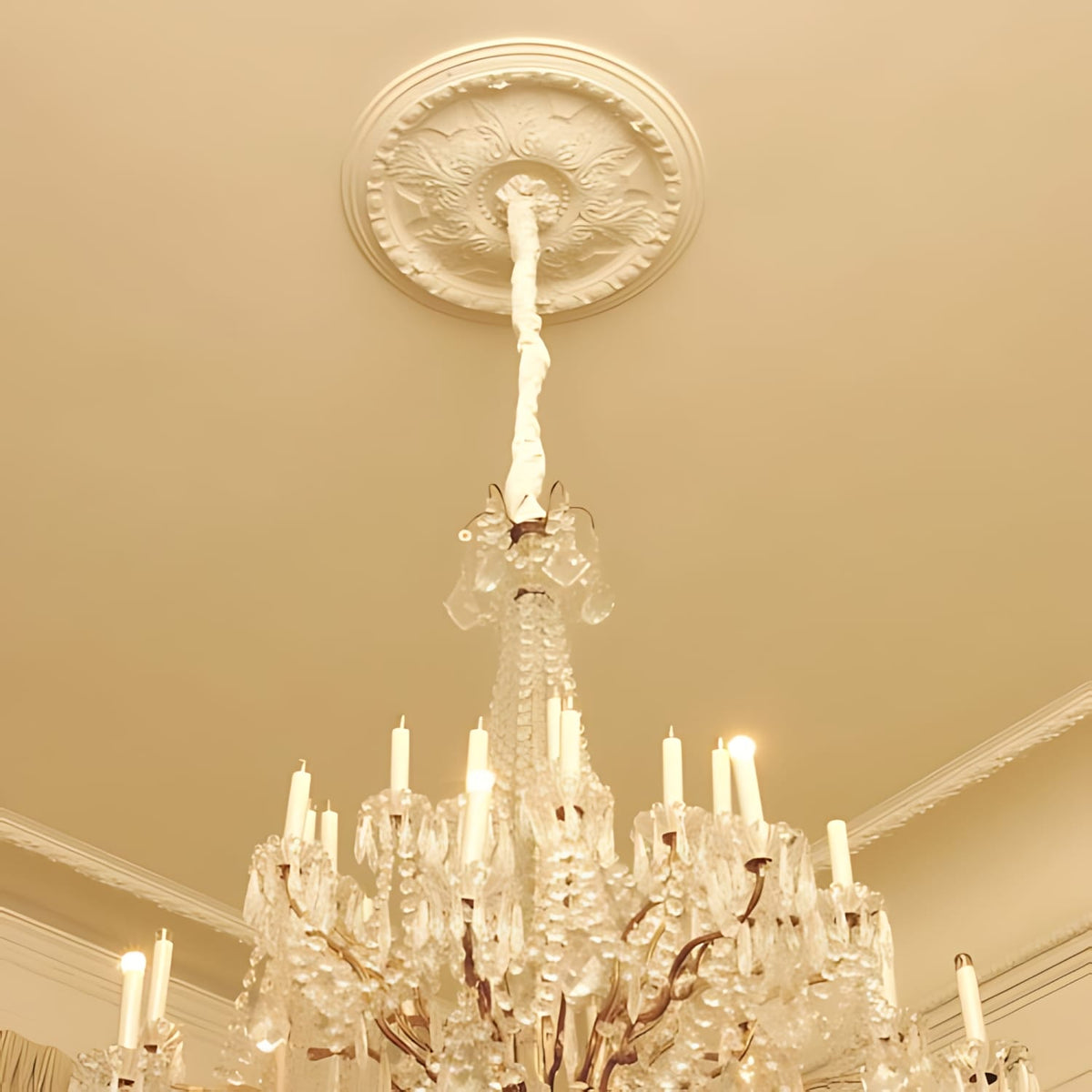Elemento decorativo 23