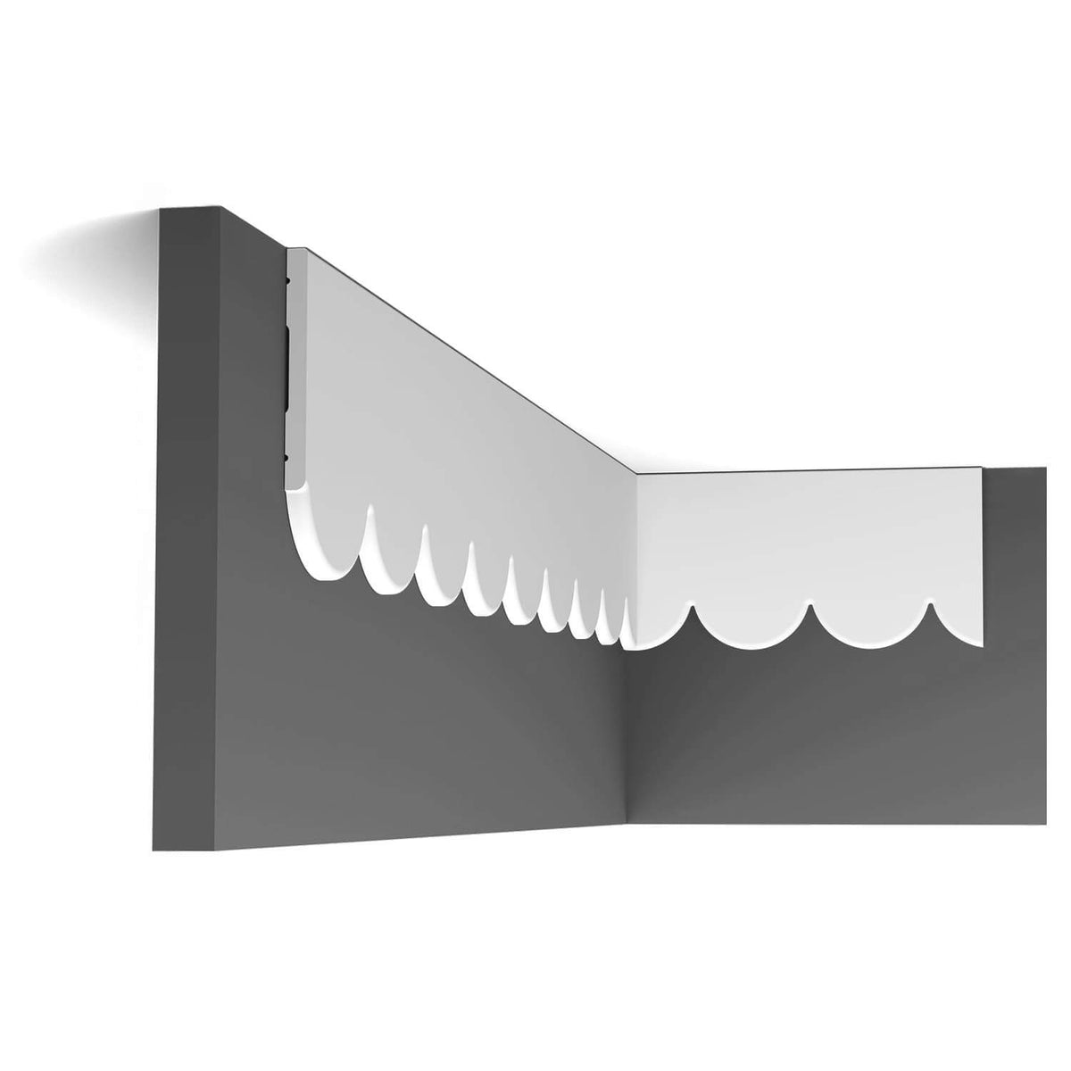 Zócalo Scallop 425