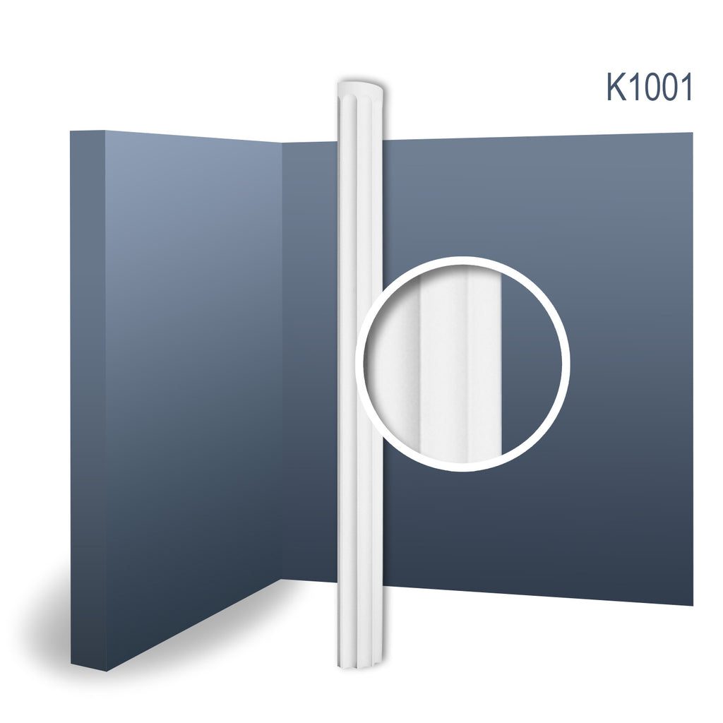 Columna 1001