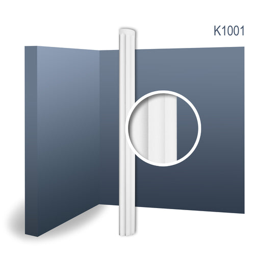 Columna 1001